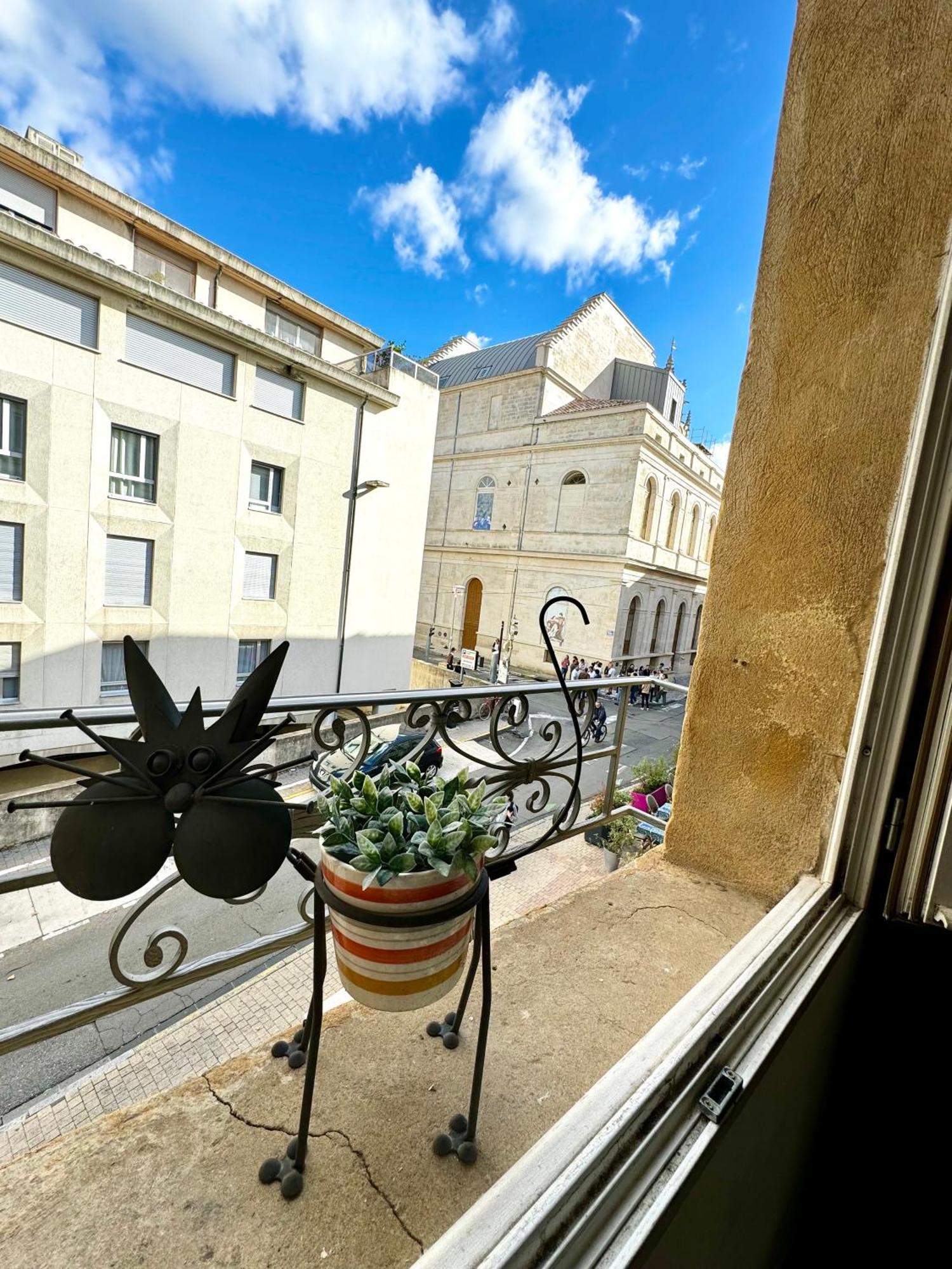 Appartement Loge De L'opera A 200 M Du Palais Des Papes Avignon